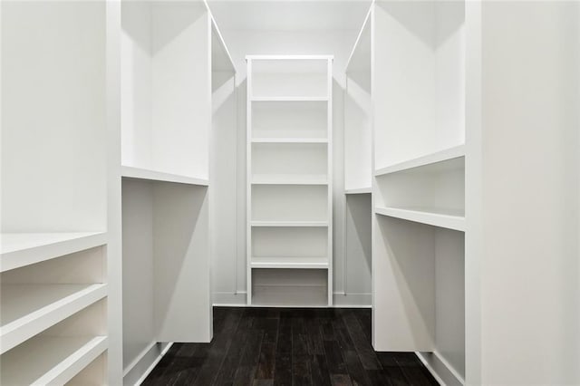 walk in closet with dark hardwood / wood-style flooring