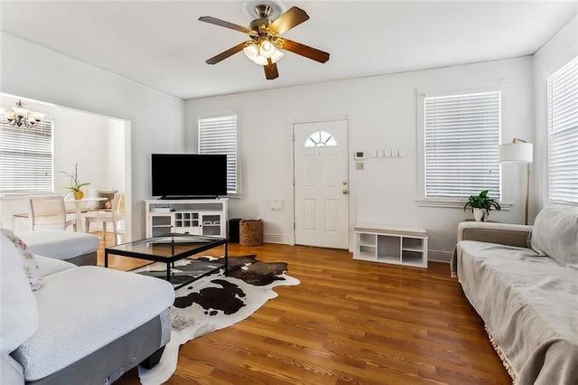 living room featuring ceiling fan with notable chandelier and dark hardwood / wood-style flooring