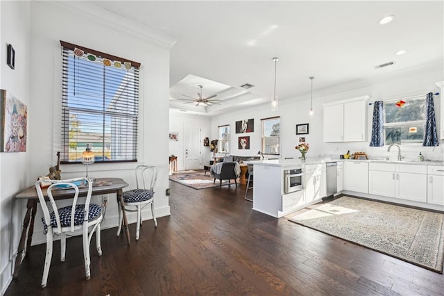 kitchen with white cabinets, ceiling fan, a healthy amount of sunlight, kitchen peninsula, and stainless steel appliances