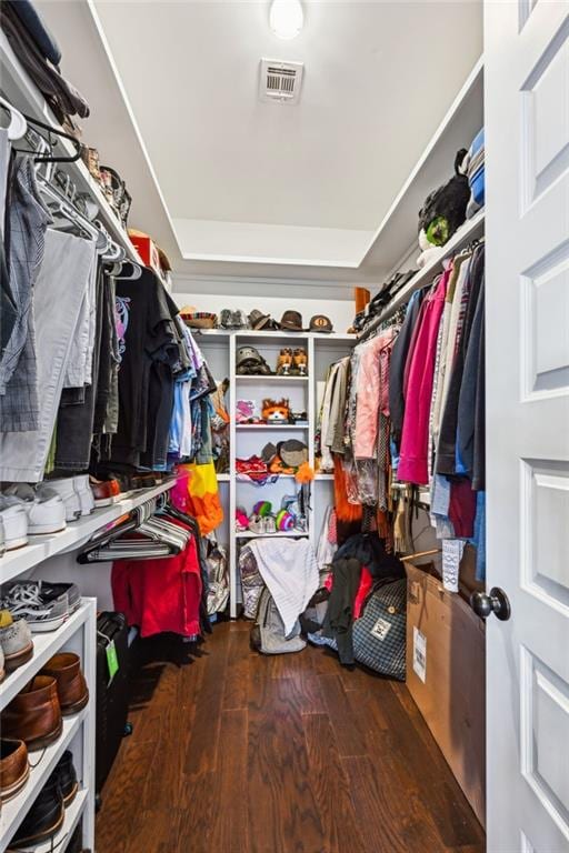 spacious closet with dark hardwood / wood-style flooring