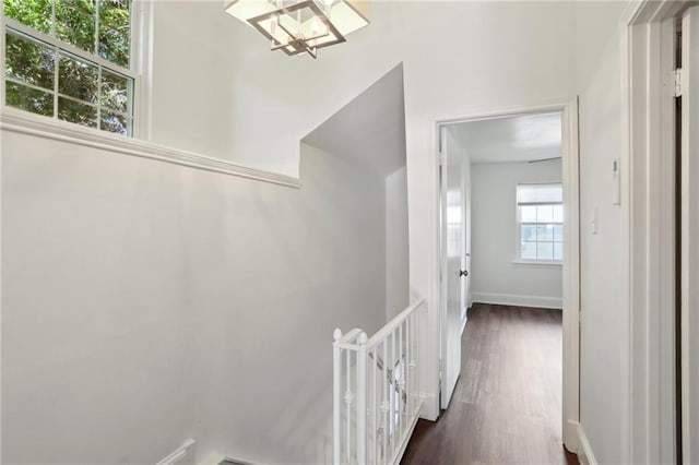 corridor with a chandelier and dark hardwood / wood-style floors