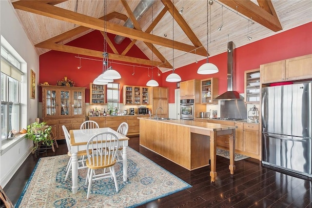 kitchen with pendant lighting, a kitchen island with sink, high vaulted ceiling, range hood, and appliances with stainless steel finishes