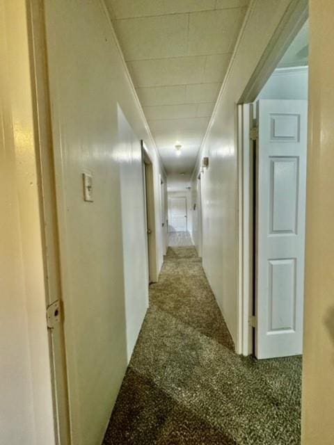 corridor featuring carpet flooring and crown molding