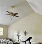 bedroom with vaulted ceiling and ceiling fan