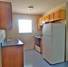 kitchen with white refrigerator, sink, and range