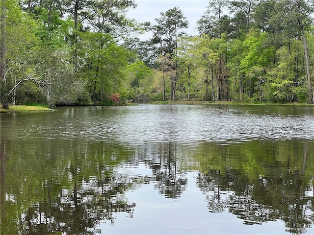 view of water feature