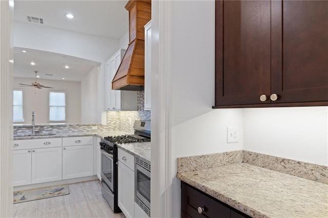 kitchen with appliances with stainless steel finishes, tasteful backsplash, premium range hood, ceiling fan, and sink