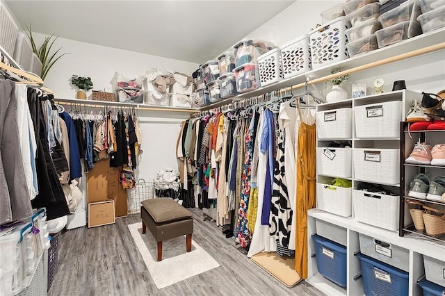 walk in closet featuring hardwood / wood-style floors