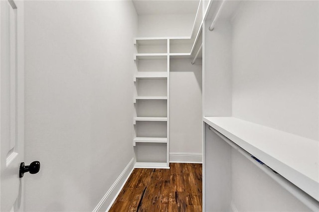 spacious closet with dark hardwood / wood-style flooring