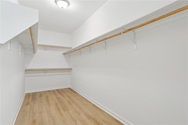 walk in closet featuring light hardwood / wood-style floors