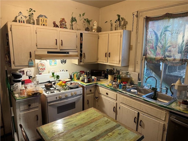 kitchen featuring gas stove, sink, and stainless steel dishwasher