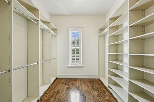 walk in closet featuring dark hardwood / wood-style flooring