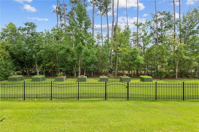 view of home's community with a lawn