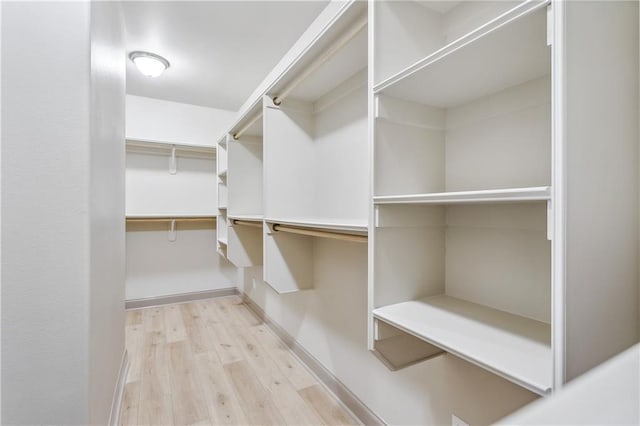 spacious closet featuring light wood-type flooring