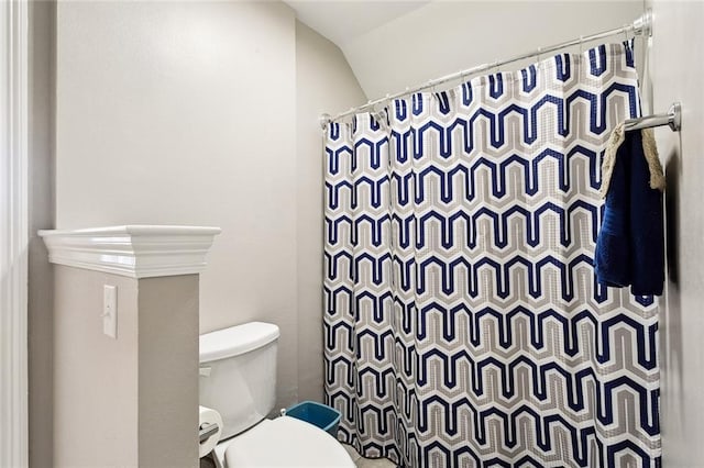 bathroom featuring toilet, walk in shower, and vaulted ceiling