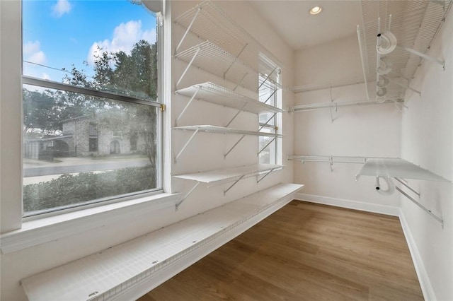 walk in closet featuring hardwood / wood-style flooring