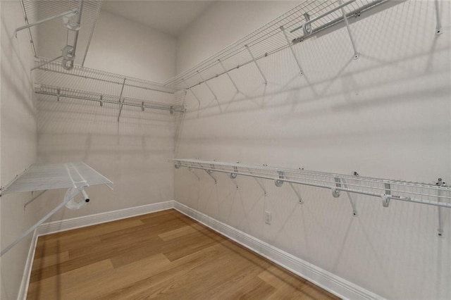 walk in closet with hardwood / wood-style floors