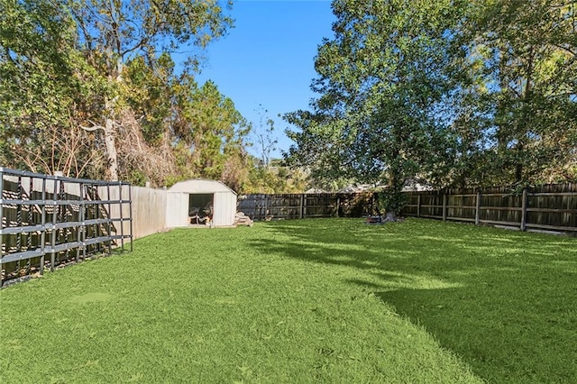 view of yard featuring a storage shed