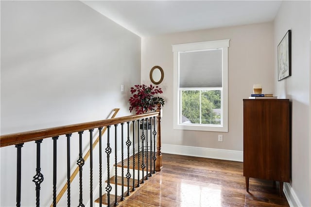 hall featuring dark wood-type flooring