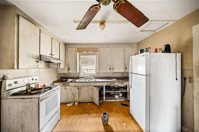 kitchen with sink, white appliances, and light hardwood / wood-style flooring