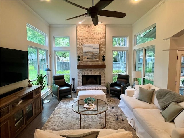 living room with a brick fireplace, ceiling fan, dark wood-type flooring, and crown molding