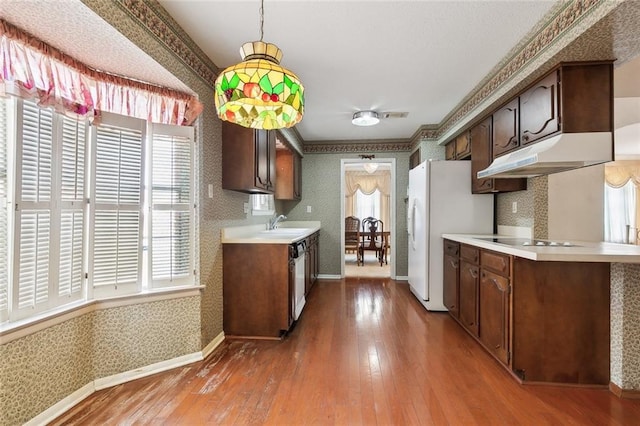 kitchen with crown molding, hardwood / wood-style flooring, stainless steel dishwasher, dark brown cabinets, and electric stovetop