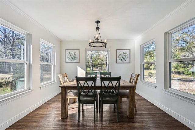 dining room with dark wood-type flooring, a wealth of natural light, and crown molding