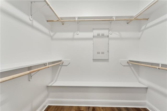 walk in closet featuring dark wood-type flooring