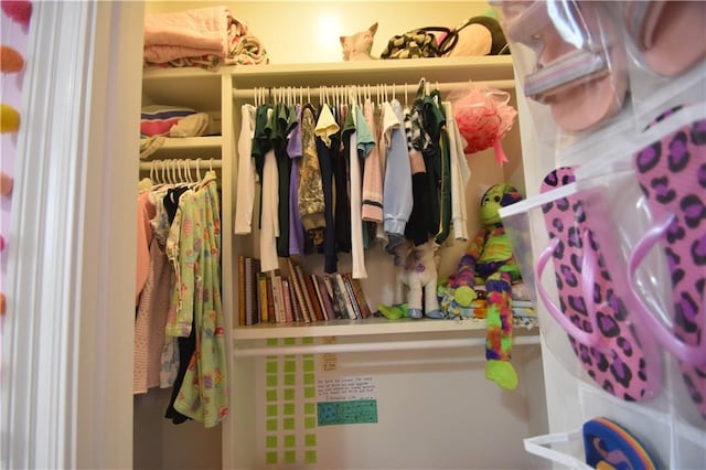 view of closet