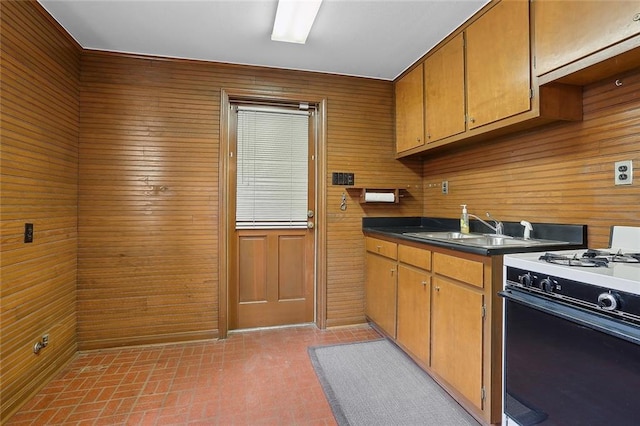 kitchen featuring sink, wooden walls, and range with gas stovetop