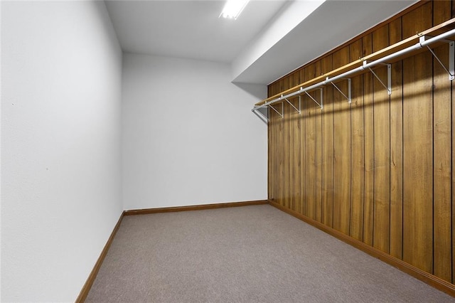 spacious closet with carpet