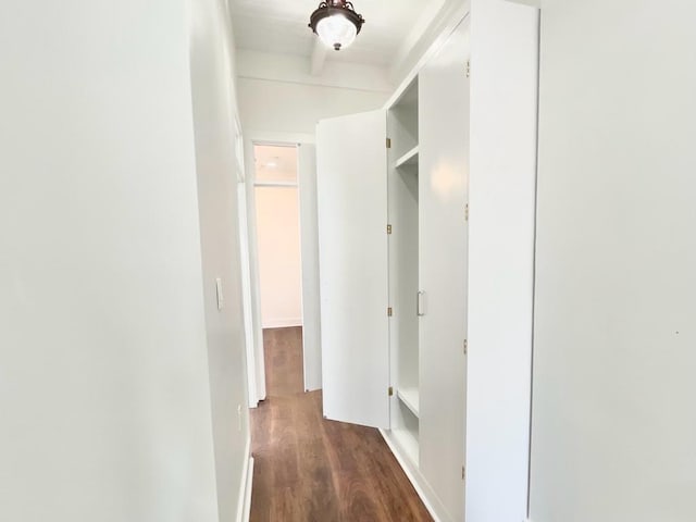 corridor featuring dark hardwood / wood-style flooring