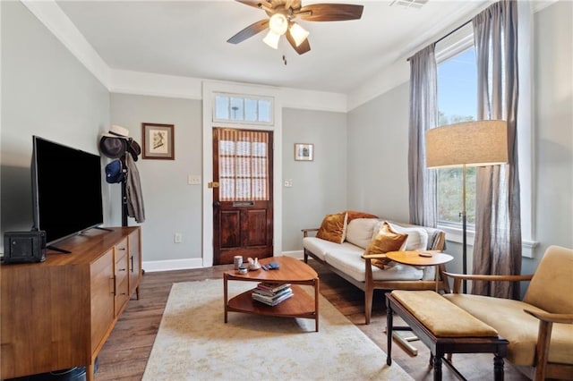 living room with ceiling fan and hardwood / wood-style flooring