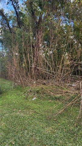 125 Lakewood Dr, Luling, LA 70070 - photo 6