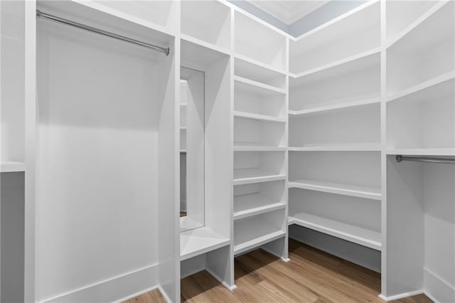 spacious closet with hardwood / wood-style floors