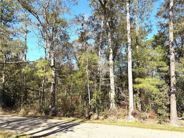 LOT2A Leonard St, Abita Springs LA, 70420 land for sale