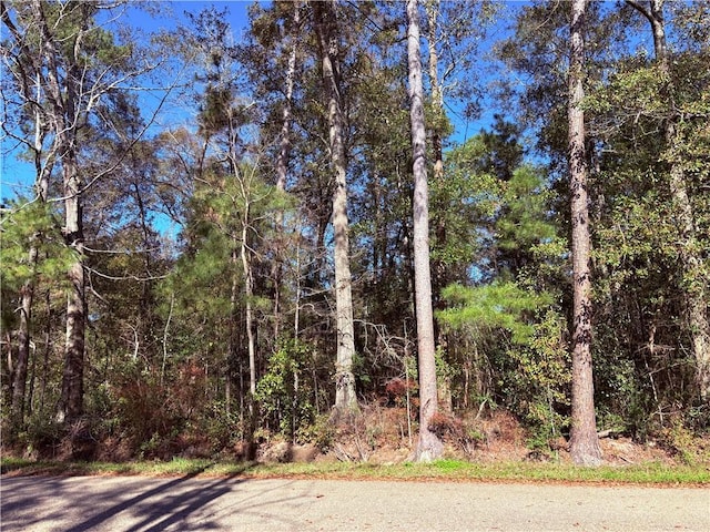 Listing photo 2 for LOT2A Leonard St, Abita Springs LA 70420