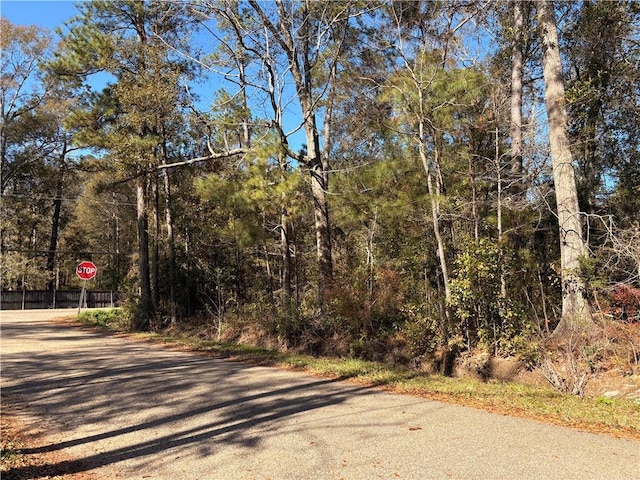 Listing photo 3 for LOT2A Leonard St, Abita Springs LA 70420