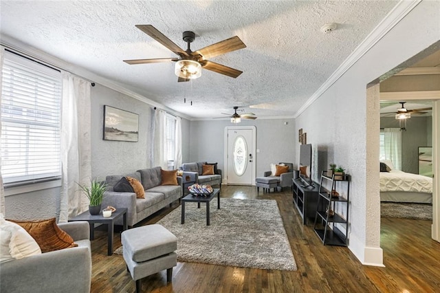 living room featuring a textured ceiling, ceiling fan, ornamental molding, and dark wood-type flooring