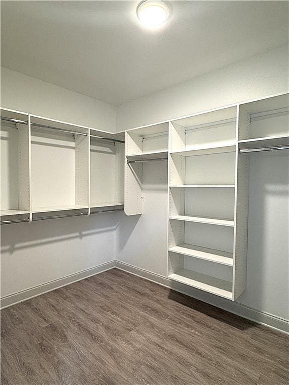 walk in closet with dark wood-type flooring