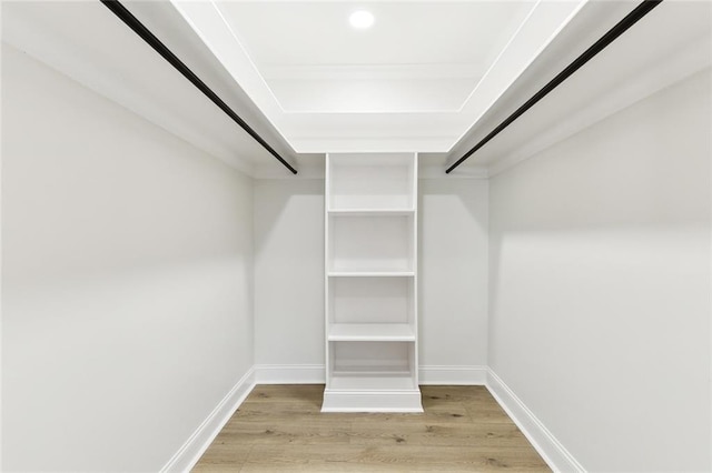 walk in closet featuring light hardwood / wood-style floors