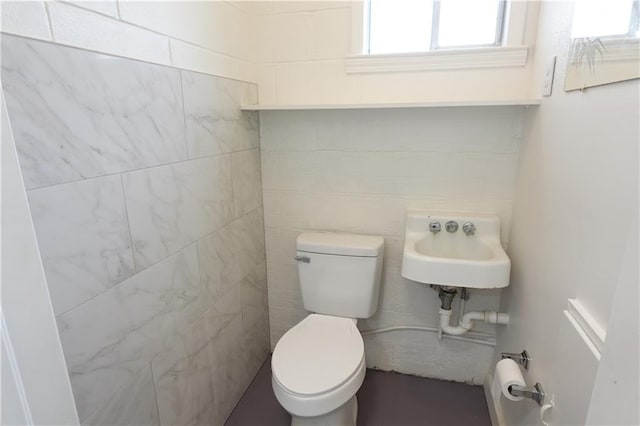 bathroom with toilet and sink