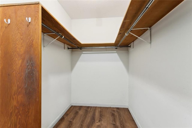 walk in closet with dark hardwood / wood-style flooring