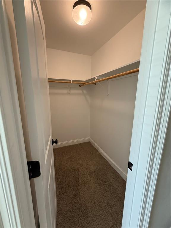 walk in closet featuring dark carpet