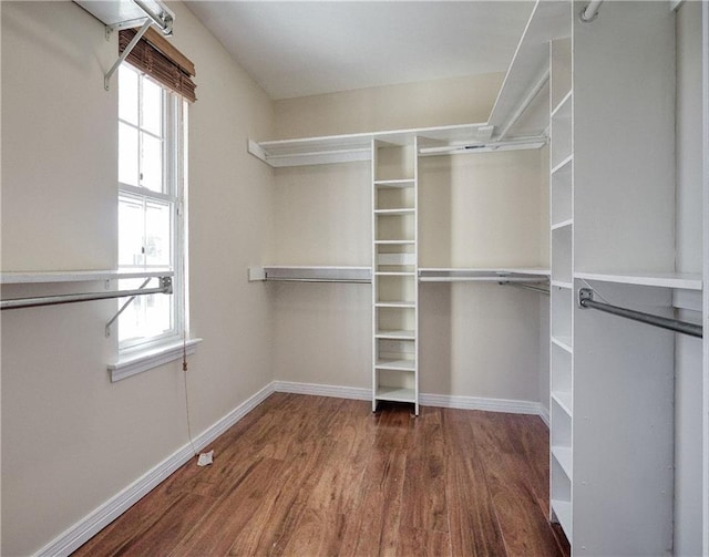 spacious closet with dark hardwood / wood-style floors