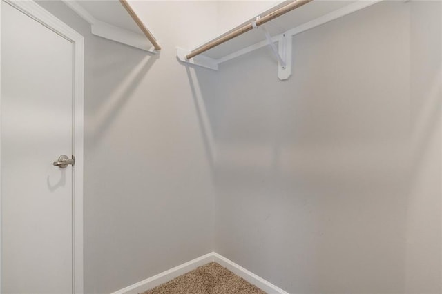 walk in closet featuring carpet flooring