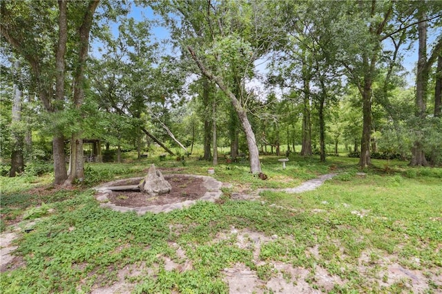 309 W Joan St, Gonzales, LA 70737 - view of yard