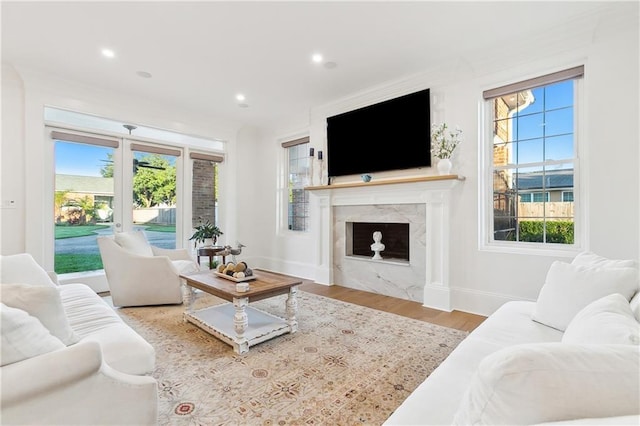 living room featuring hardwood / wood-style floors and a premium fireplace