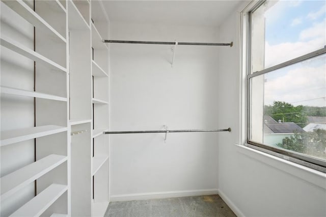 walk in closet featuring light colored carpet