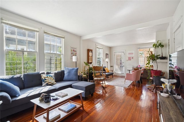 living area featuring wood-type flooring